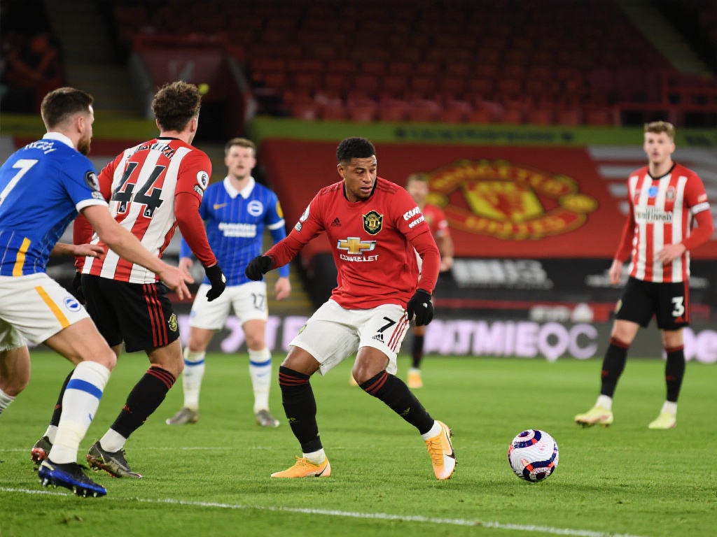 女足世界杯 女足世界杯